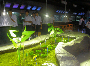 Suvarnabhumi Airport1